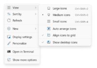 Windows 11 desktop View submenu with Show desktop icons checked