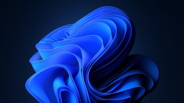 Windows 11 Dark Mode: How to Enable or Force it