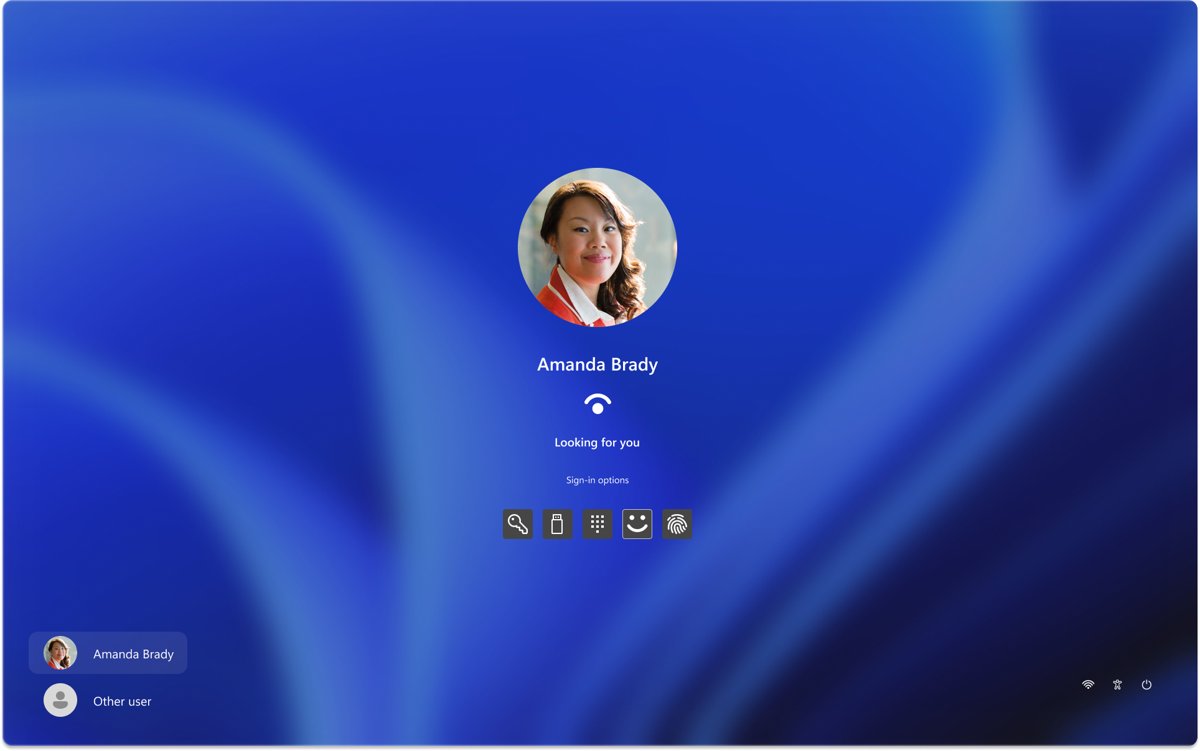 Windows 11 lock screen sign-in options icons for password, PIN and biometrics
