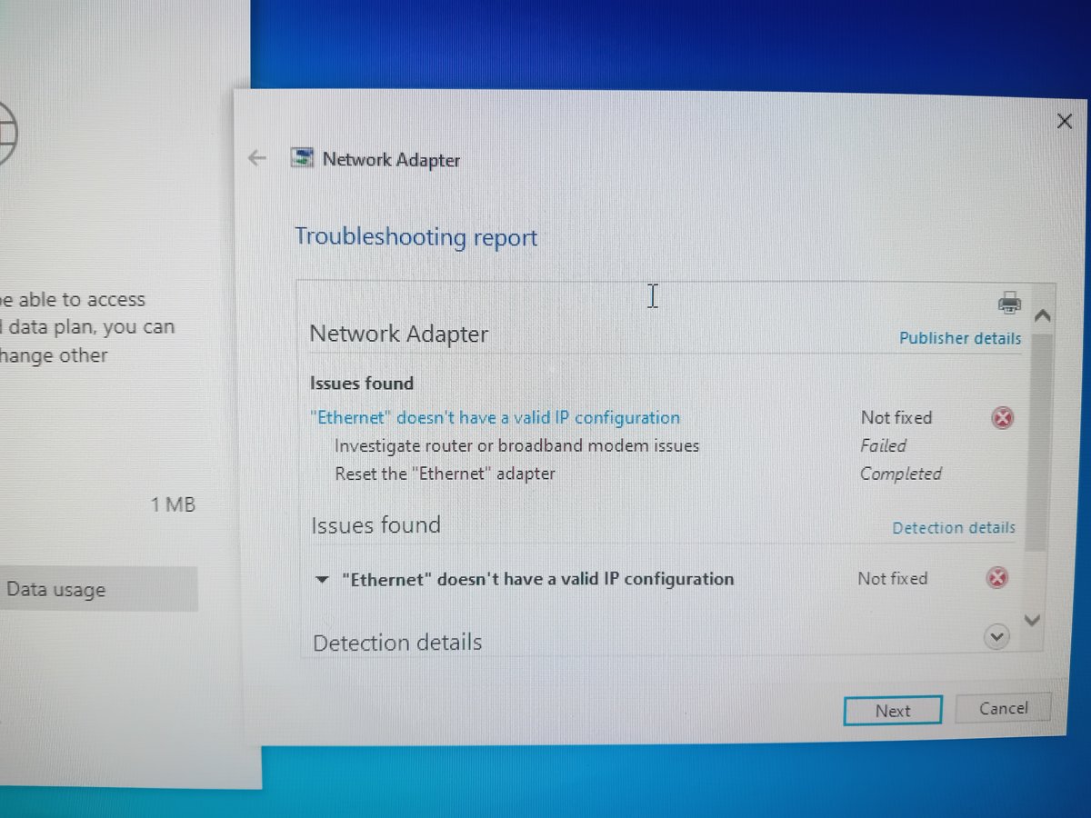Windows Network Adapter troubleshooter reporting no valid IP configuration