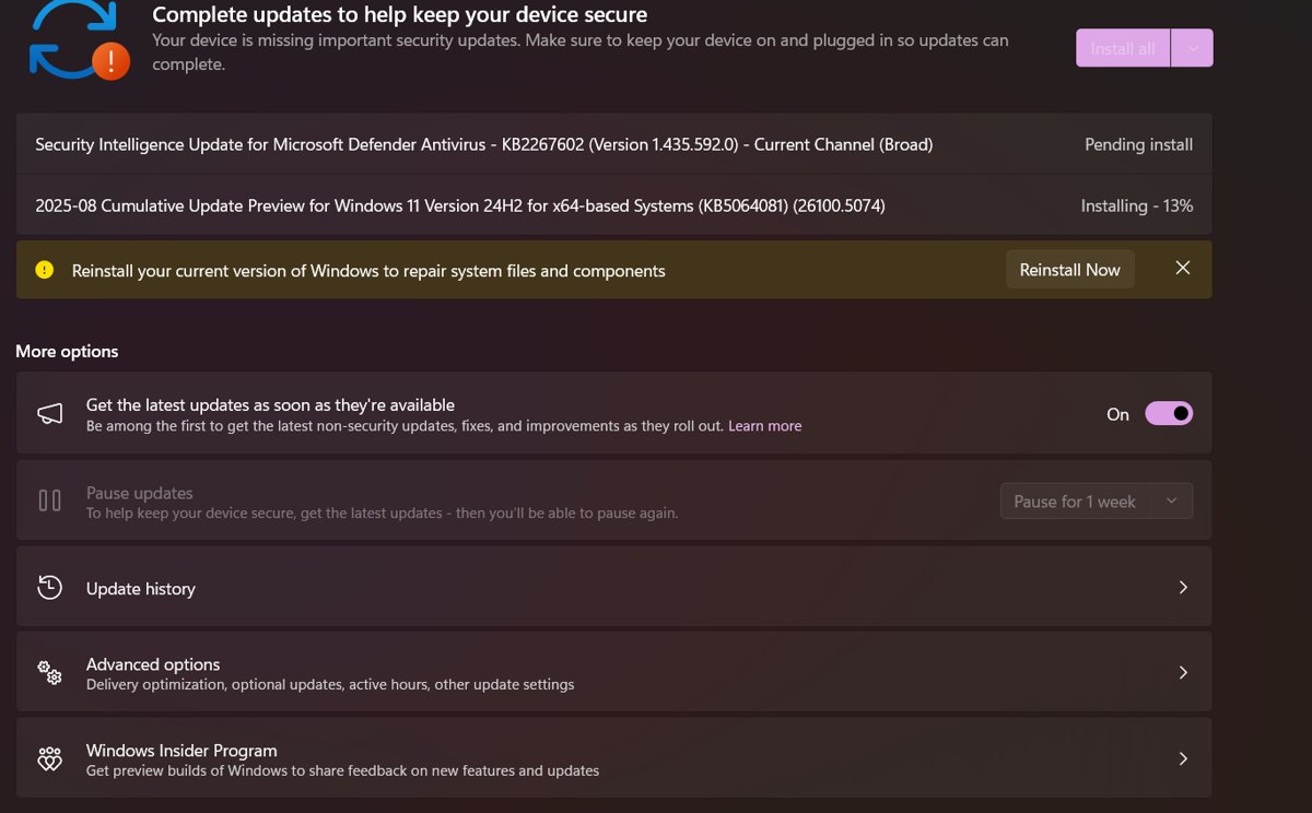 Windows Update settings page listing Update history and Advanced options links