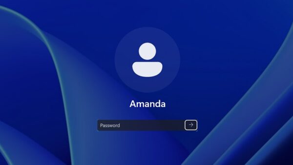 How to reset Password in Windows 11 or Windows 10