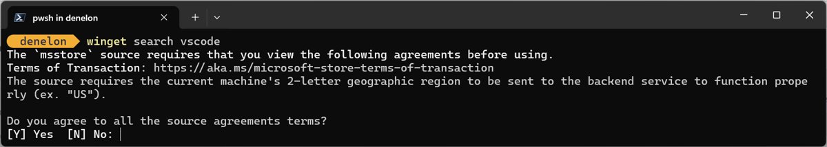 Winget terminal prompt asking to accept Microsoft Store source terms