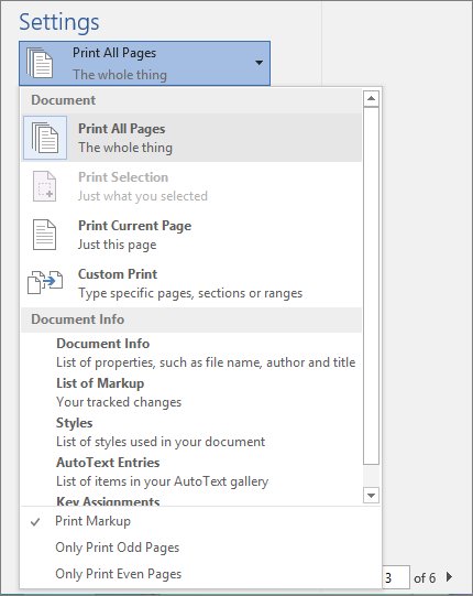 Word Print screen with Settings dropdown menu expanded