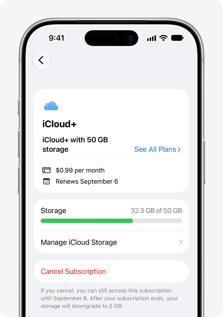 iCloud+ plan screen with storage usage and a Cancel Subscription button