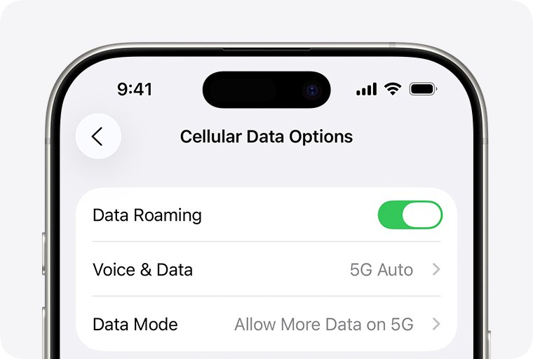 iPhone Cellular Data Options screen with Data Roaming switched on