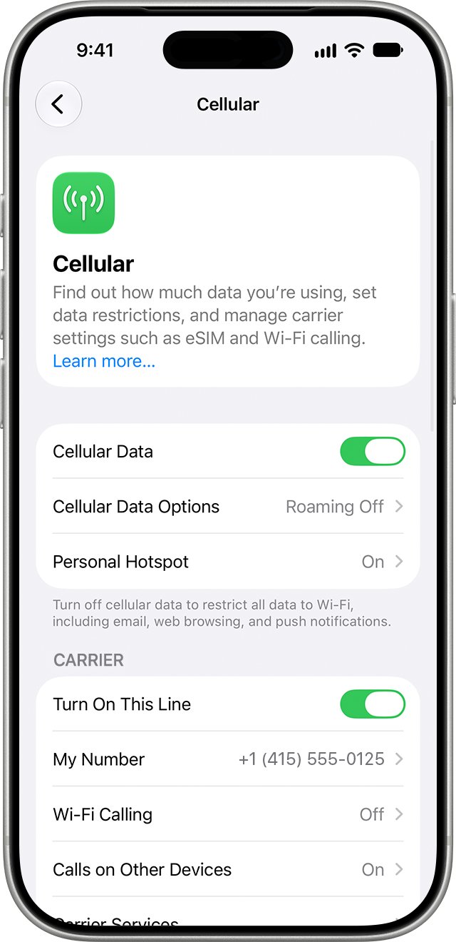 iPhone Cellular settings screen with Cellular Data Options showing Roaming Off