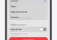iPhone Clear History dialog showing timeframe options above a red confirm button