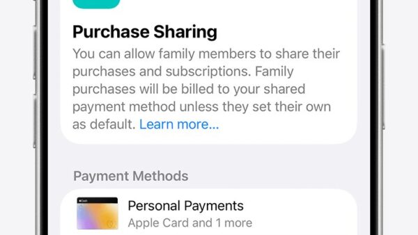 How and where to find purchases made by other family members with Family Sharing on Apple devices