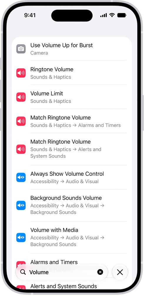 iPhone Settings search results for the term Volume