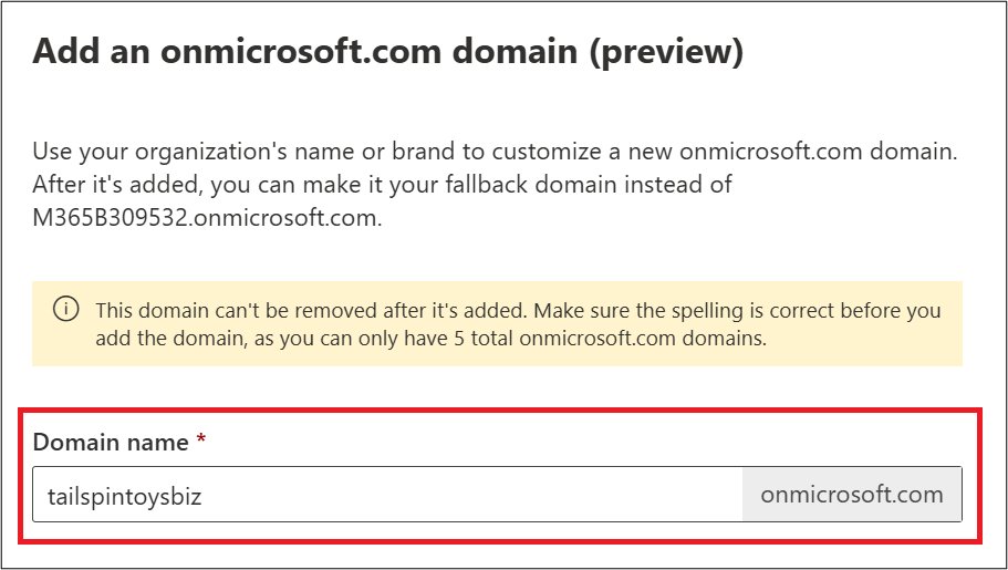 Add onmicrosoft.com domain in Microsoft 365 by typing a new domain name