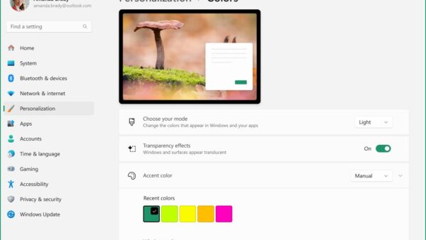 Adjusting appearance and performance in Windows 11/10
