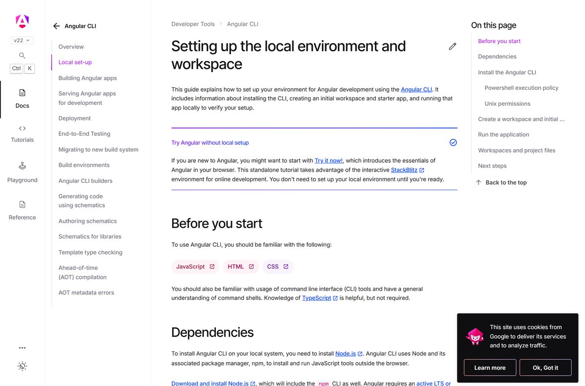 Angular CLI local set-up page with the npm install command