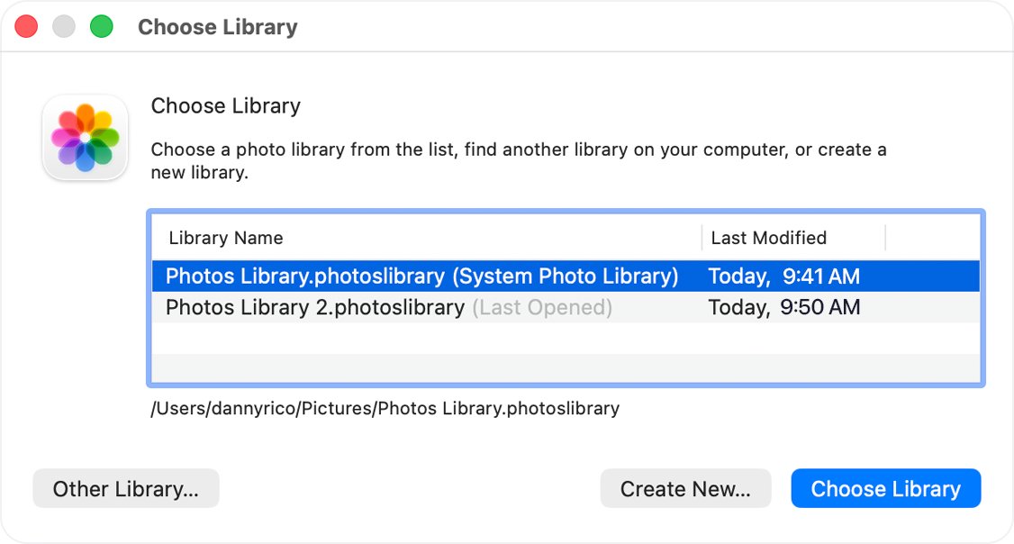 Back up iCloud Photos on Mac by choosing the System Photo Library