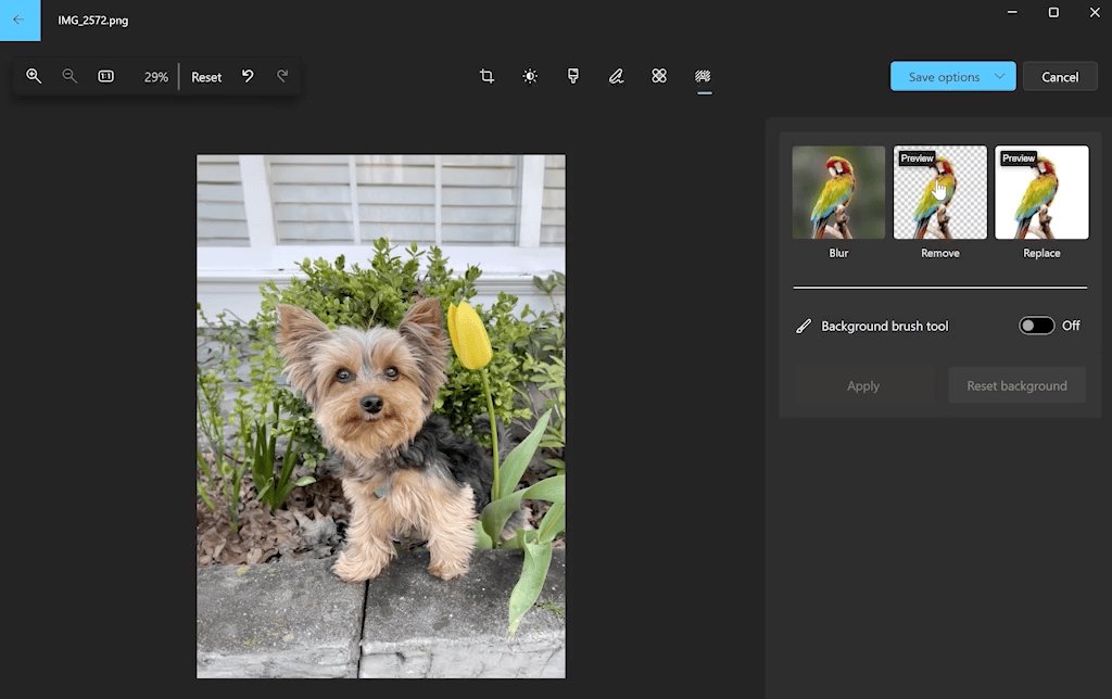 Blur, remove or replace a photo background in the Windows Photos editor