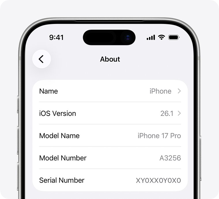 Can you track a lost phone with its serial number? What works instead