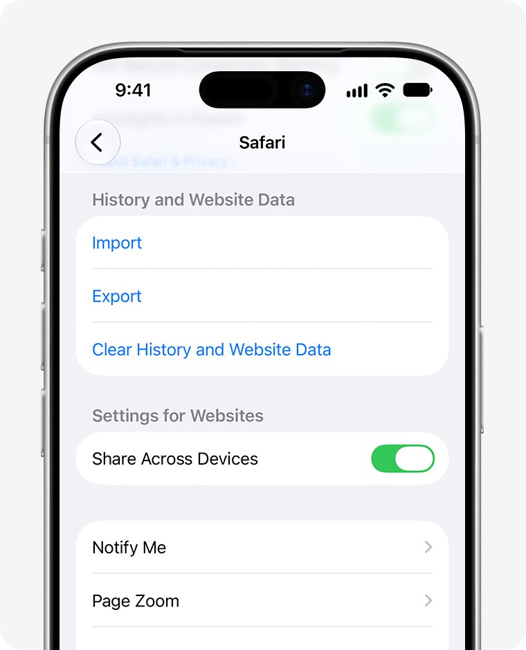 Cannot connect to server fix: Clear History and Website Data in iPhone Safari settings