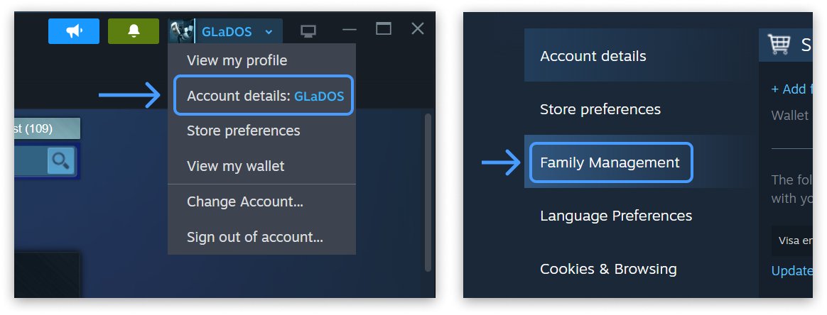 Check Steam store country via the Account details menu entry