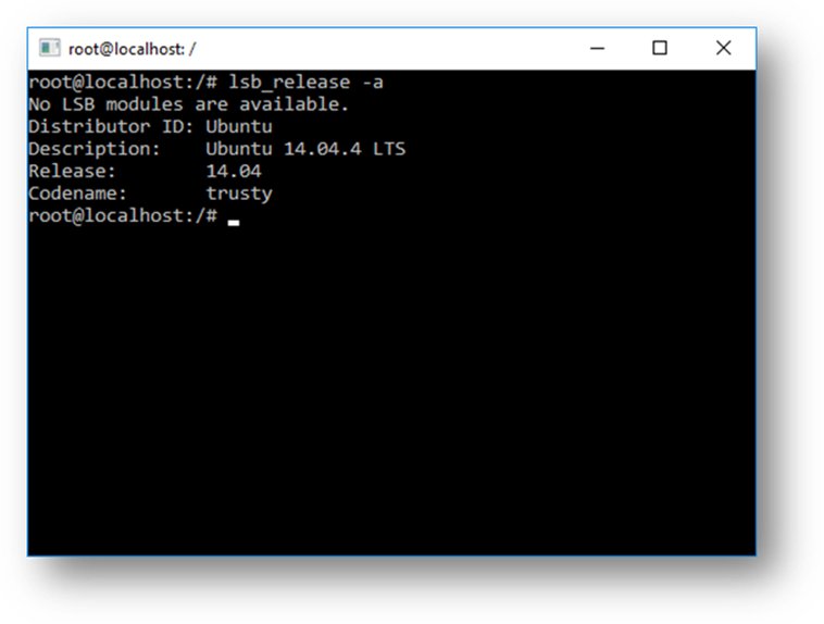 Check WSL installed correctly with lsb_release -a showing Ubuntu release details