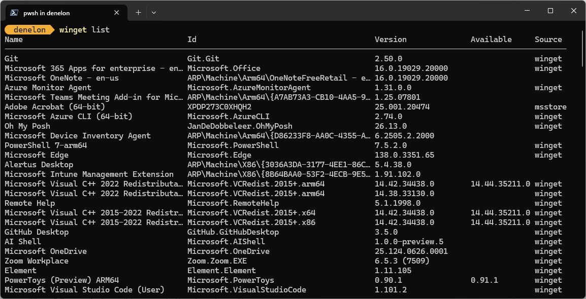 Check installed programs in Windows with the winget list command