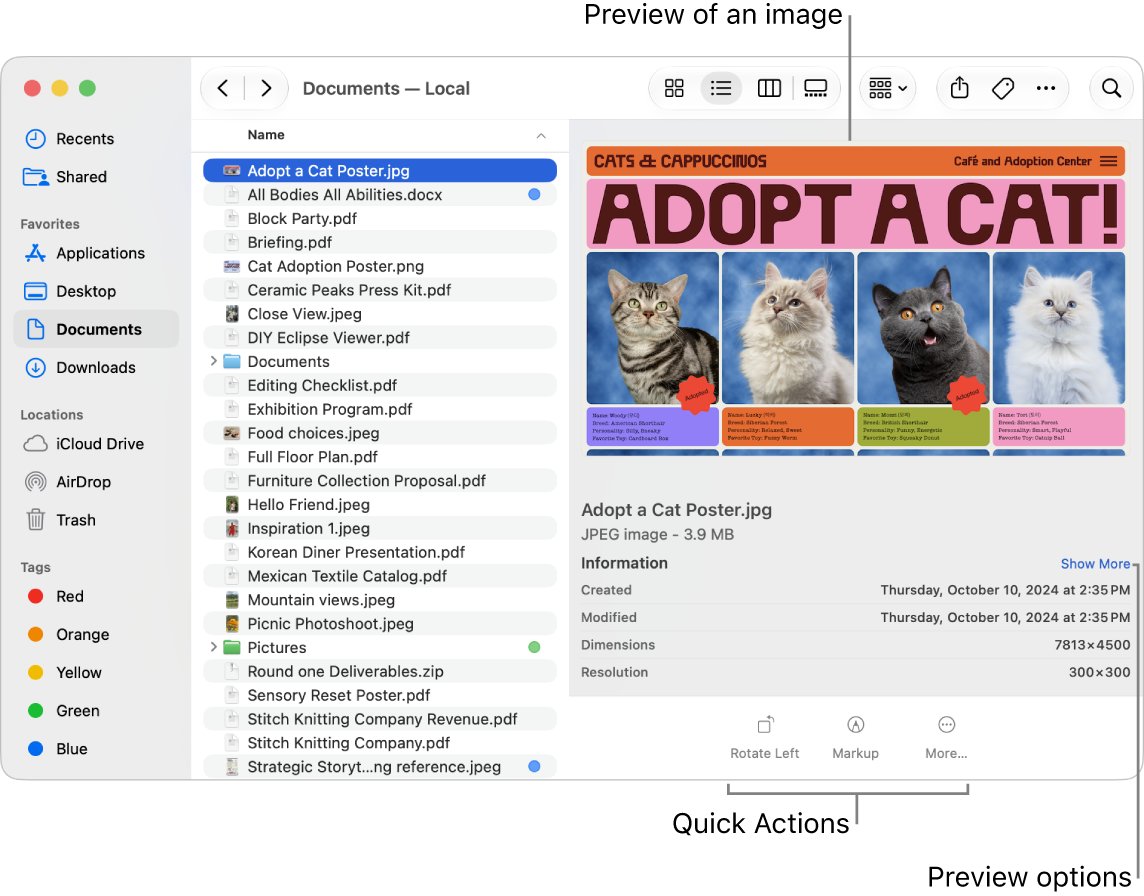 Check the right file on Mac in the Finder preview pane with dates