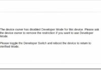 Chrome screen saying the device owner has disabled Developer Mode
