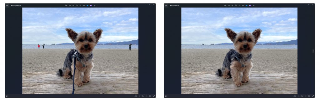Clean up tool in Microsoft Photos: Generative Erase before and after