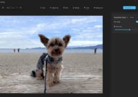 Edit photos and videos in Windows