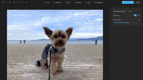 Edit photos and videos in Windows
