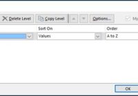 Excel Sort dialog with Sort by, Sort On and Order columns