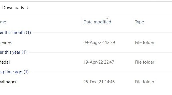 How to open the Downloads folder on your computer or browser