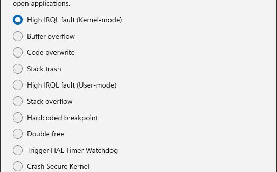 How to force a Blue Screen of Death in Windows 11