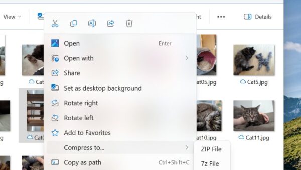 How to zip (compress) files and folders on Windows 11, 10