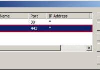 IIS Site Bindings dialog listing http on port 80 and https on 443