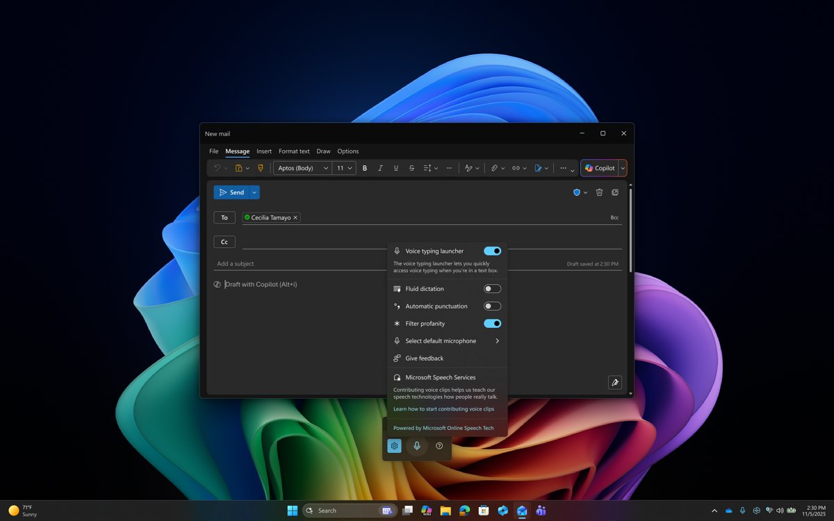 Microsoft Text Input Application voice typing settings panel in Windows 11