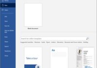 Microsoft Word basics: features, tools, and functions explained