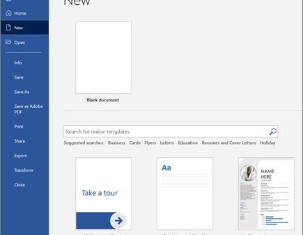 Microsoft Word basics: features, tools, and functions explained