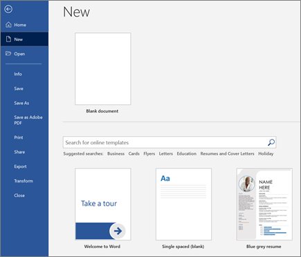 Microsoft Word basics: features, tools, and functions explained