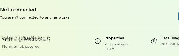 Network & Internet settings in Windows 11