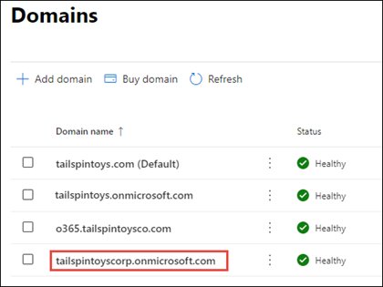 New onmicrosoft.com fallback domain listed as Healthy on the Domains page