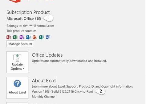 How to check for Microsoft Office updates