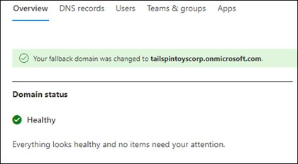 Onmicrosoft domain fallback change confirmed on the domain Overview tab