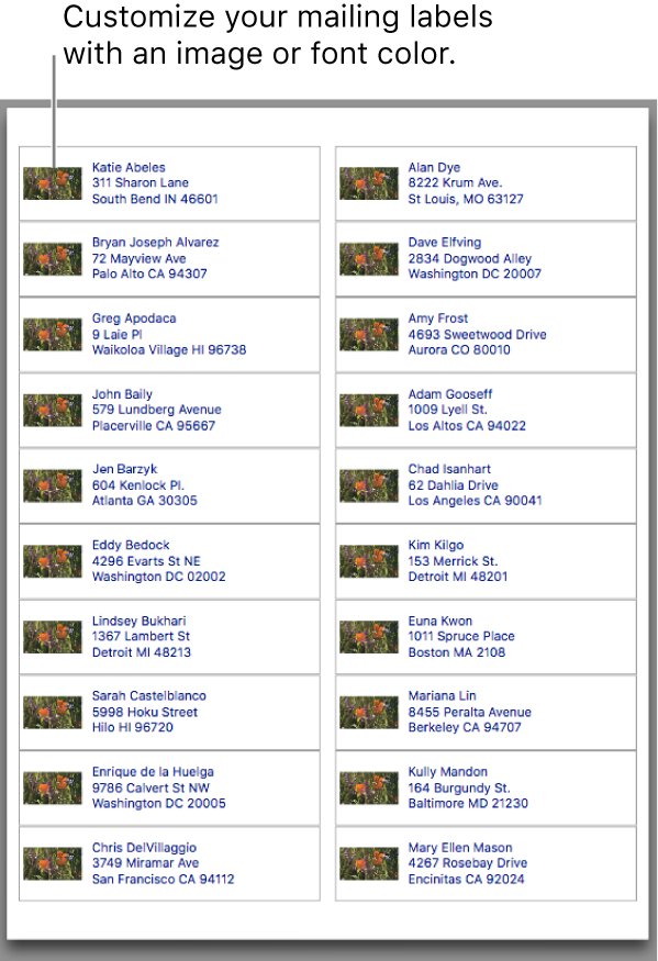 Print address labels from Contacts on Mac with an image and font color