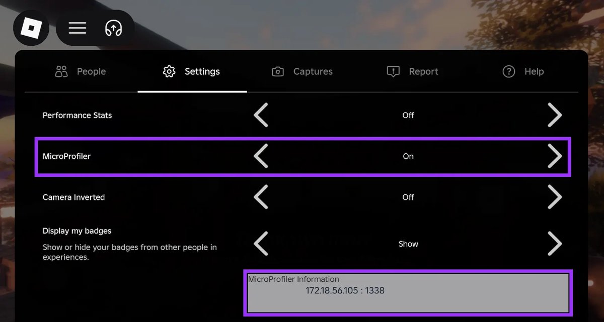 Roblox in-game Settings tab with Performance Stats and MicroProfiler rows