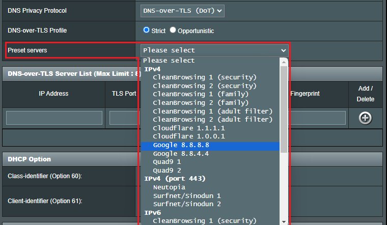 Router DNS settings with preset servers such as Cloudflare and Google
