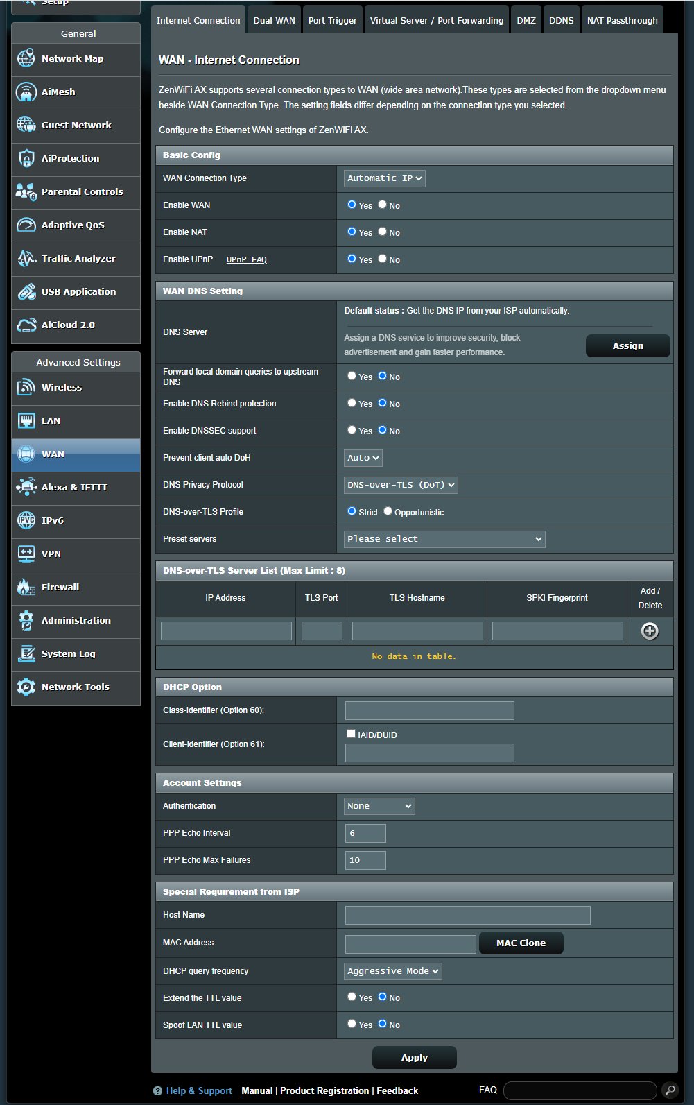 Router WAN settings with WAN Connection Type set to Automatic IP