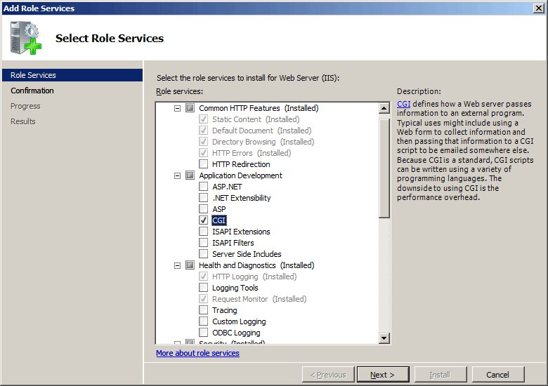 Select Role Services page with CGI ticked under Application Development