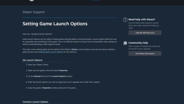 How to add launch options in Steam