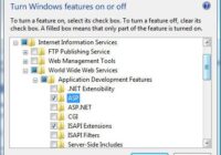 How to enable IIS (Internet Information Services) on Windows 11