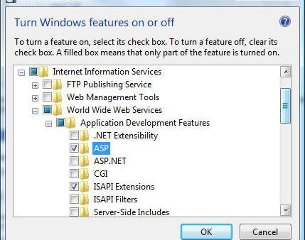 How to enable IIS (Internet Information Services) on Windows 11
